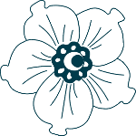 Logo Atelier de la Nacre